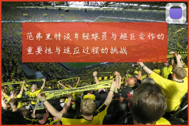 范弗里特谈年轻球员与超巨合作的重要性与适应过程的挑战